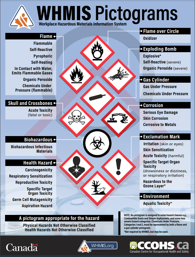 A list of what the WHMIS pictograms represent is shown. It includes the classes and hazards associated with each pictogram. 